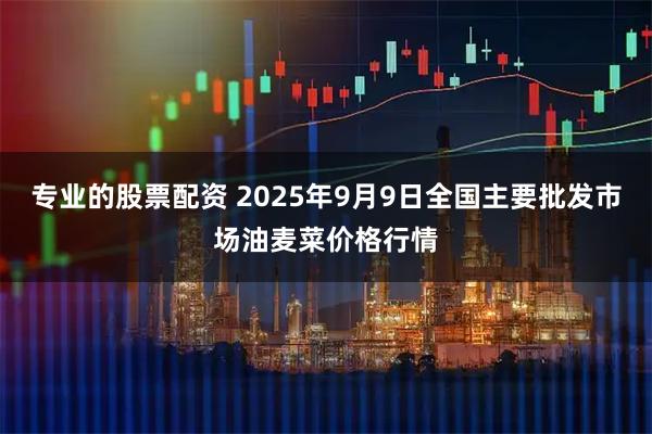 专业的股票配资 2025年9月9日全国主要批发市场油麦菜价格行情
