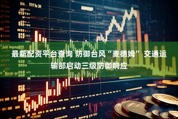 最新配资平台查询 防御台风“麦德姆”&#32;交通运输部启动三级防御响应