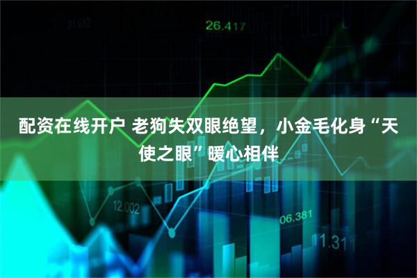 配资在线开户 老狗失双眼绝望，小金毛化身“天使之眼”暖心相伴