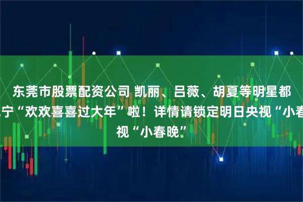 东莞市股票配资公司 凯丽、吕薇、胡夏等明星都来咸宁“欢欢喜喜过大年”啦！详情请锁定明日央视“小春晚”