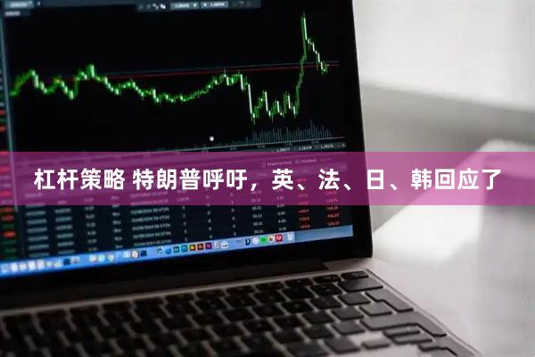 杠杆策略 特朗普呼吁，英、法、日、韩回应了